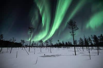 Aurora Tour