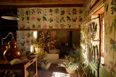 The Apothecary