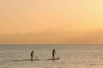 Stand-Up Paddle
