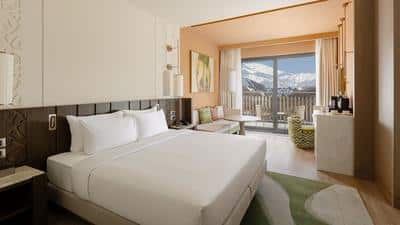 1 King Bed Mountain View