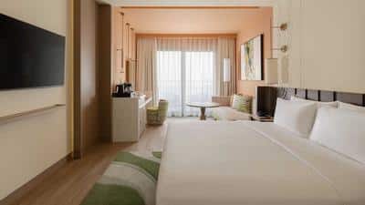 1 King Bed