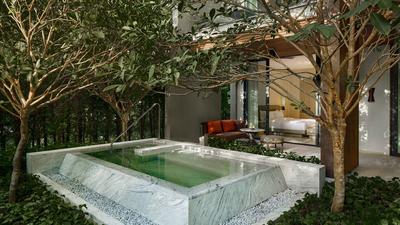 Forest Access Unbound Suite, 1 King Bed, Plunge Pool