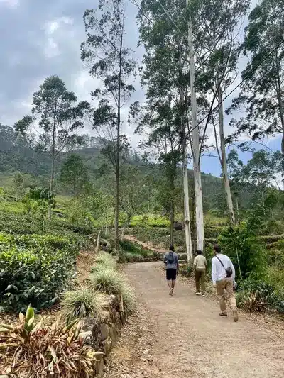 Hiking