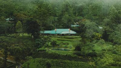 Dunkeld Bungalow