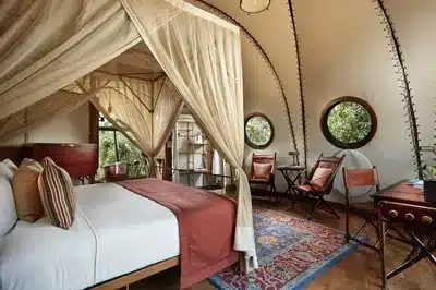 Cocoon Suite