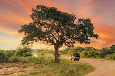 Game Drive