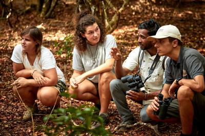 Guided Nature Walk