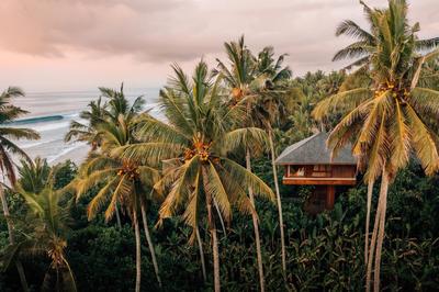 Ocean Panorama Suite