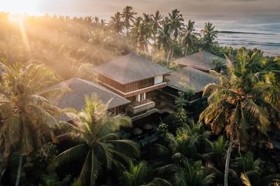 Jungle Panorama Suite