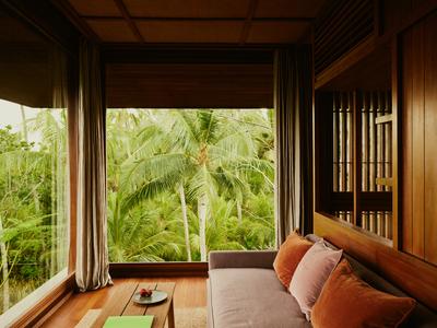 Jungle Panorama Suite