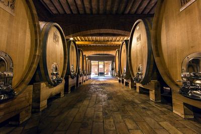 Winery Tour