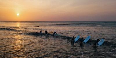 Surf