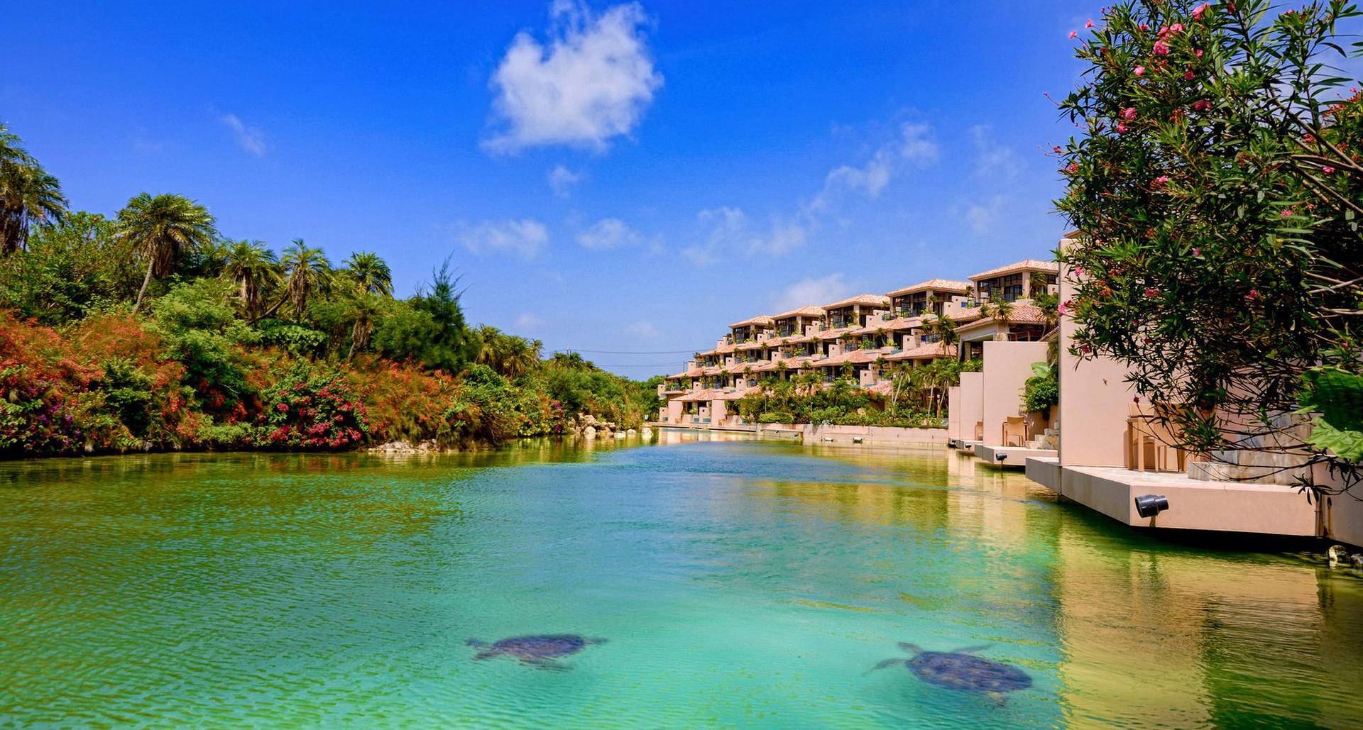 Shigira Bayside Suite Allamanda