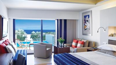 Superior Room with Individual Pool
