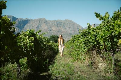 Wine Farm