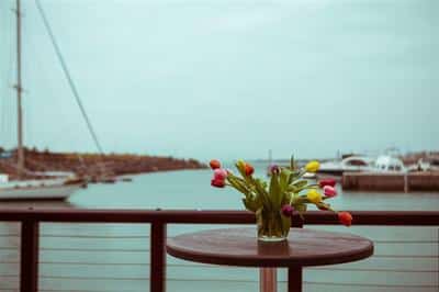 Wedding Boardwalk View