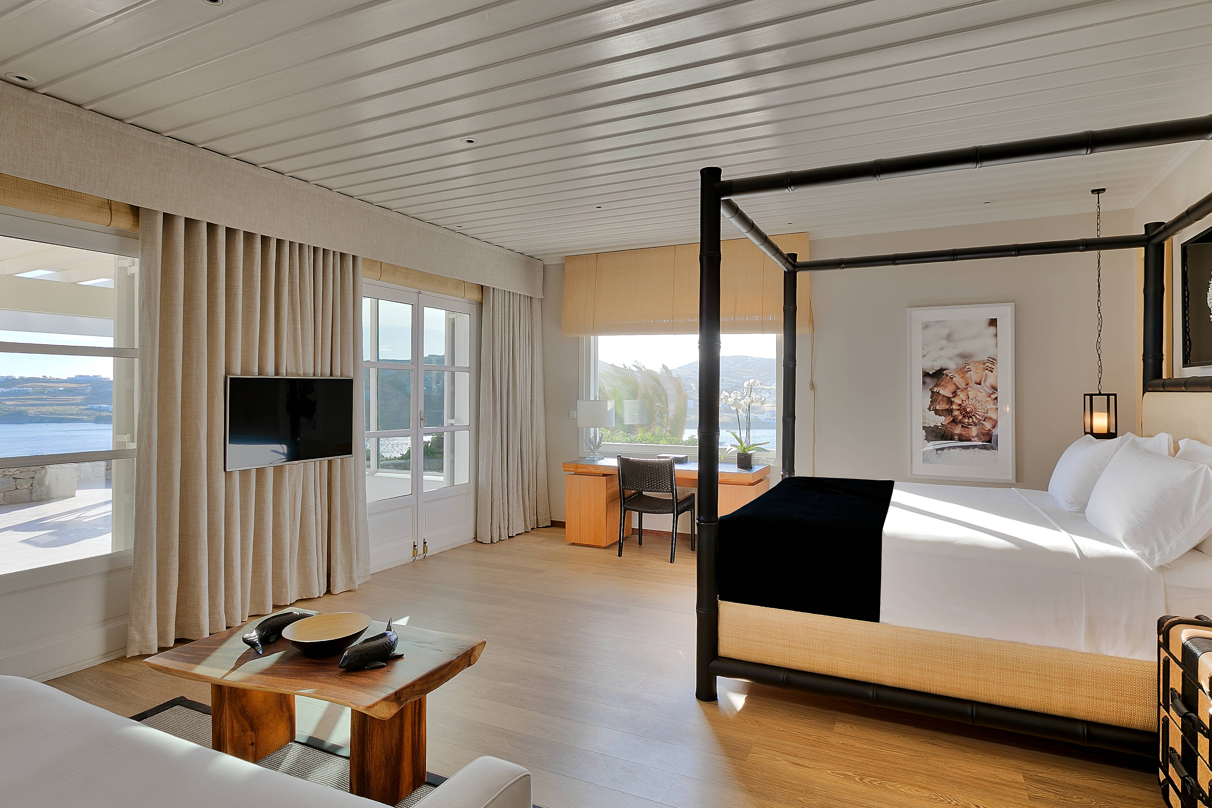 Classy Suite
