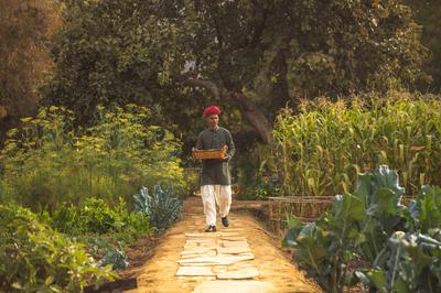 Organic Garden
