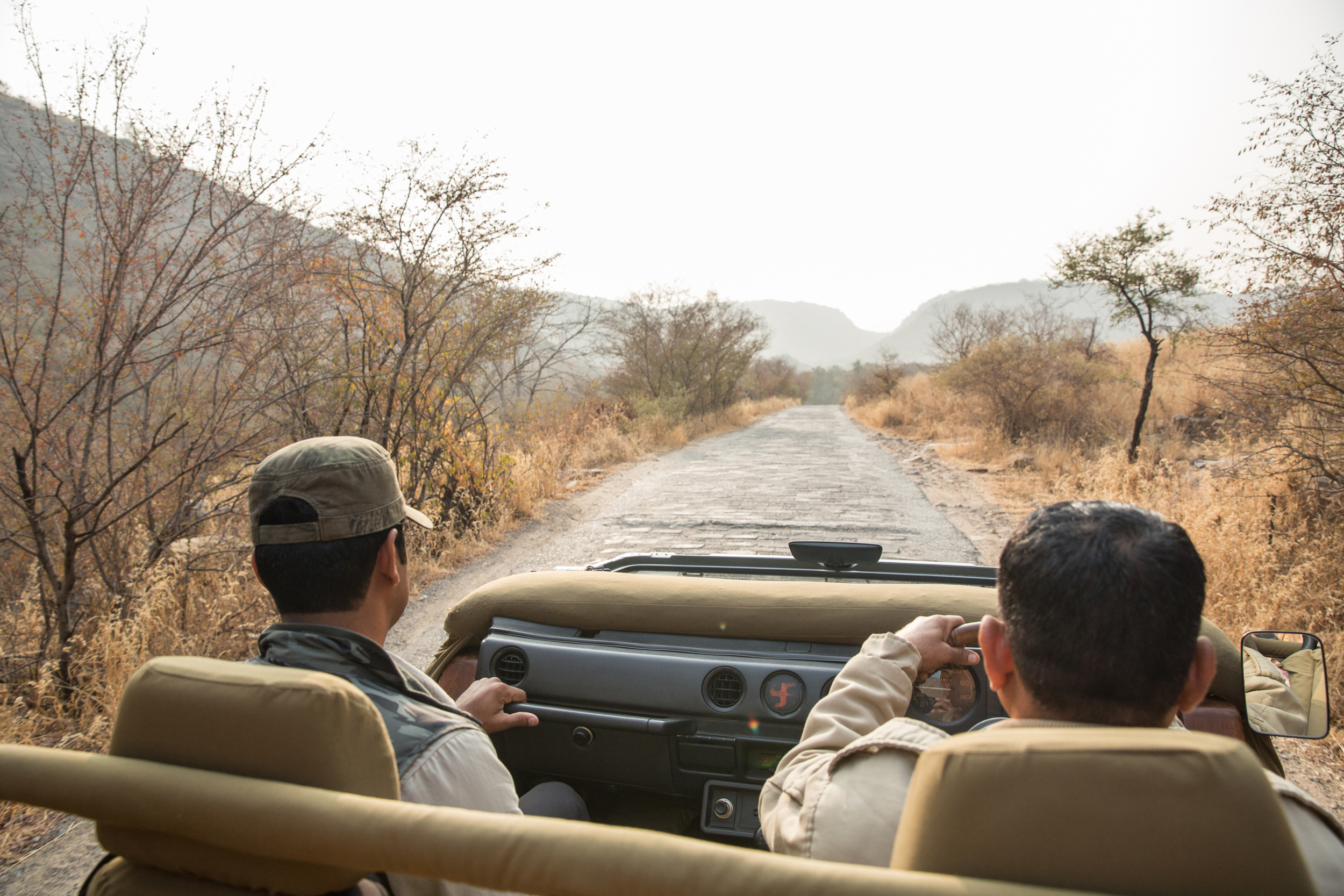 Safari