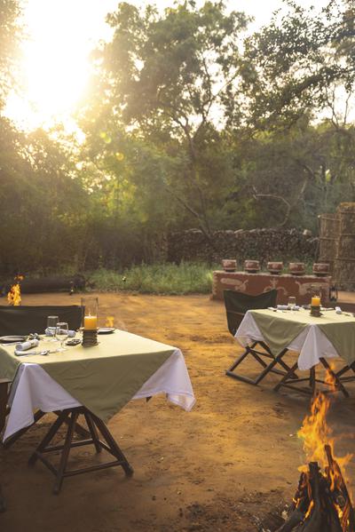 Forest Dinner