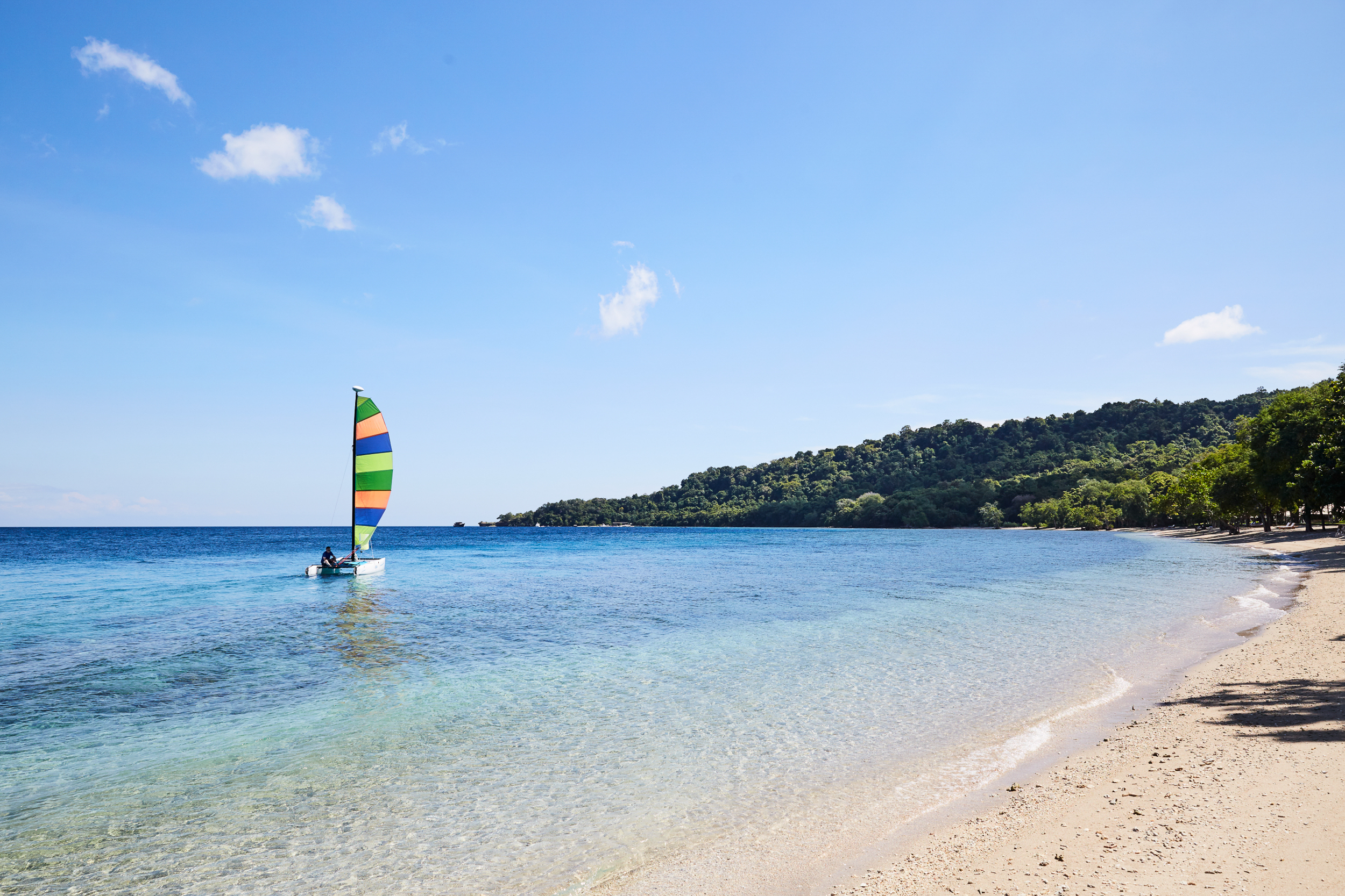 Hobie Cat