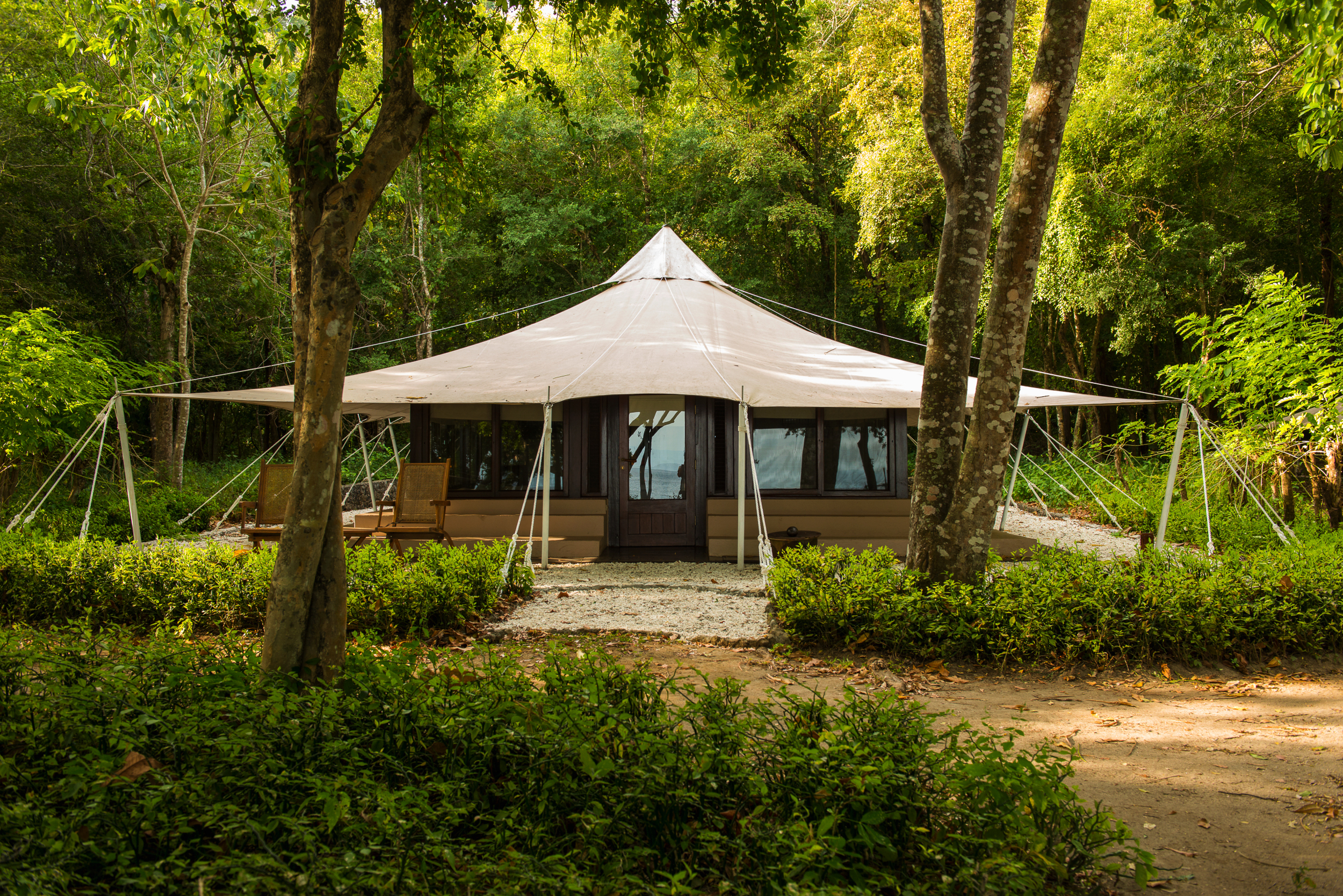 Jungle Tent