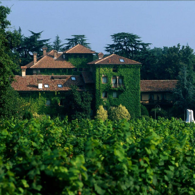 L'Albereta image
