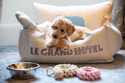 Pet Friendly