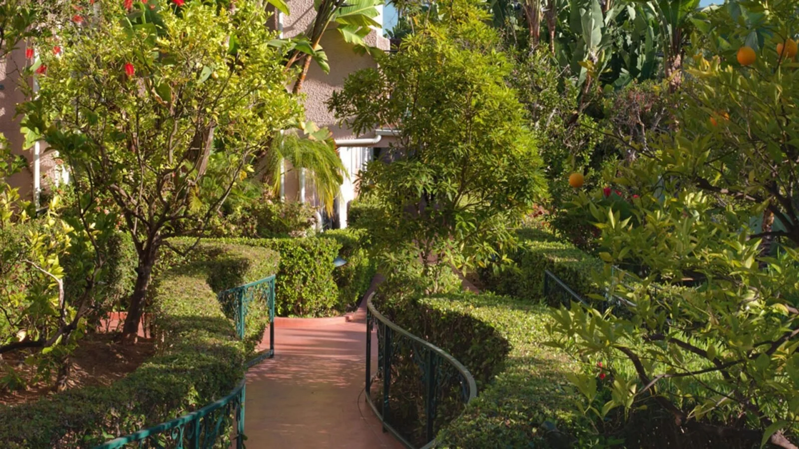Deluxe Room with Balcony / Junior Suite / Bungalow Room