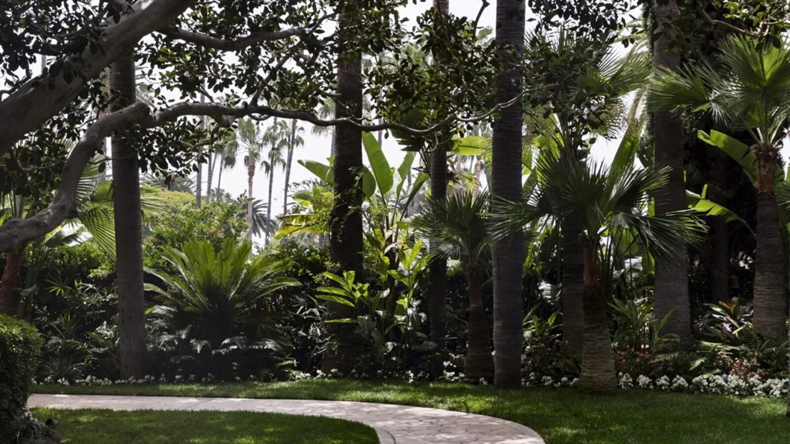 Beverly Hills Suite