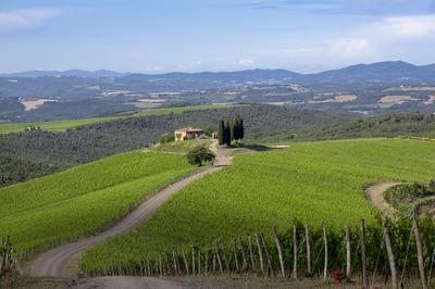 The Winery
