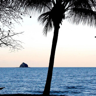 The Reef House Palm Cove image