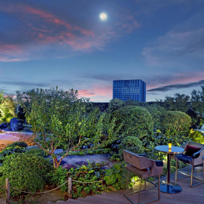 The St. Regis Osaka image