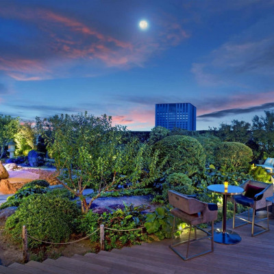 The St. Regis Osaka image