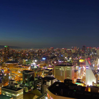 Swissôtel Nankai Osaka image