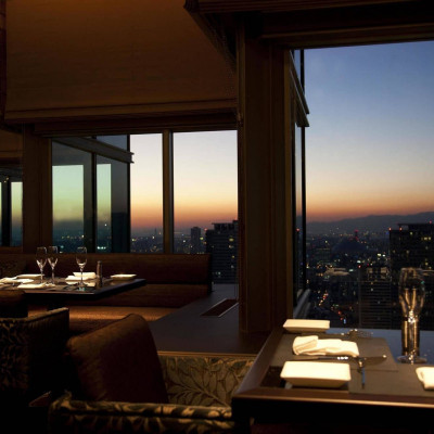 Swissôtel Nankai Osaka image