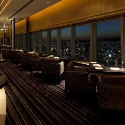 Swissôtel Nankai Osaka image