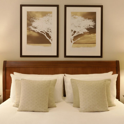 Hotel Fairmont The Norfolk image