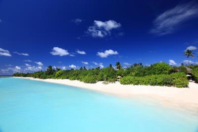 Beach Villa