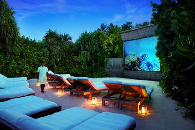 Jungle Cinema