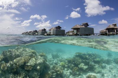 Laamu Water Villa with Pool