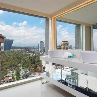 W Mexico City image