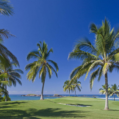 The St Regis Punta Mita Resort image