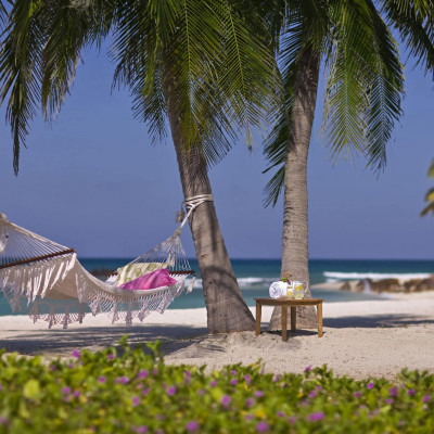 The St Regis Punta Mita Resort image
