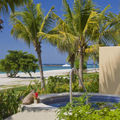 The St Regis Punta Mita Resort image