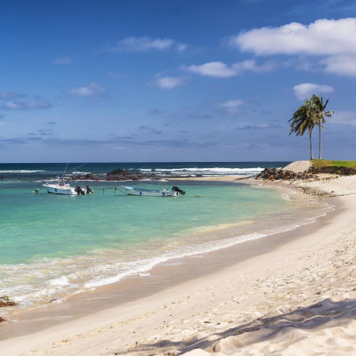 The St Regis Punta Mita Resort image