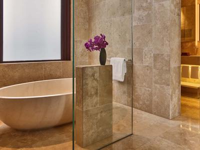 Van Baerle Suite