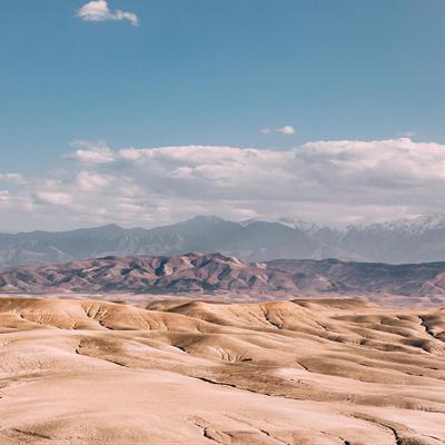 Desert Experience