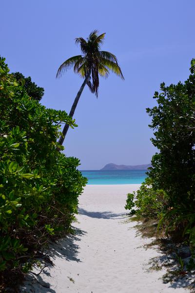 Beach - Picnic Grove Beach Path