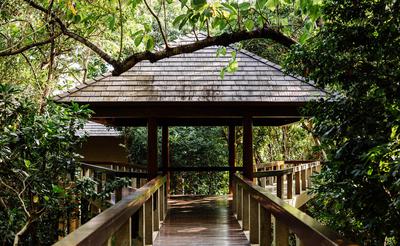 Treetop Casita